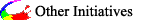 Other Initiatives